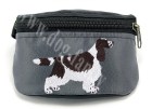 spaniel welsh springer(1)(1)(1) copy